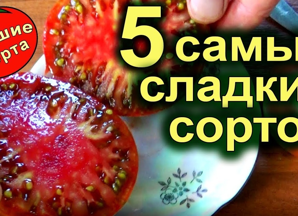 Самые лучшие сорта помидоров